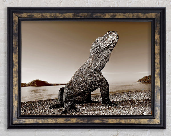 Beach Komodo Dragon