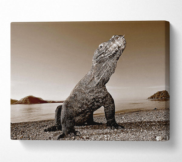 Beach Komodo Dragon