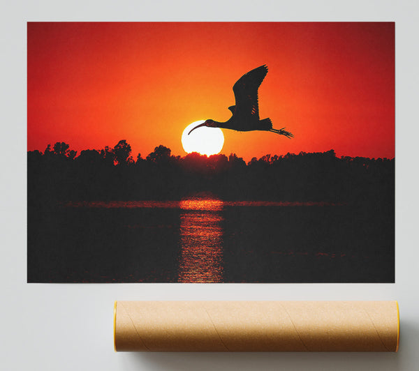 Bird Flying At Sunset