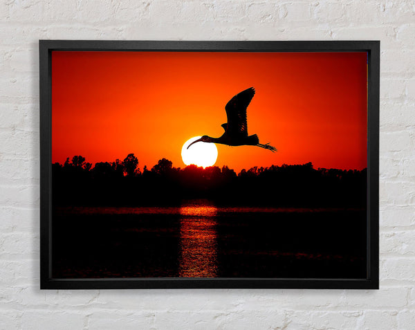 Bird Flying At Sunset