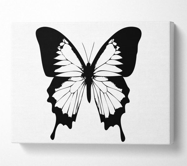 Black And White Butterfly Wings