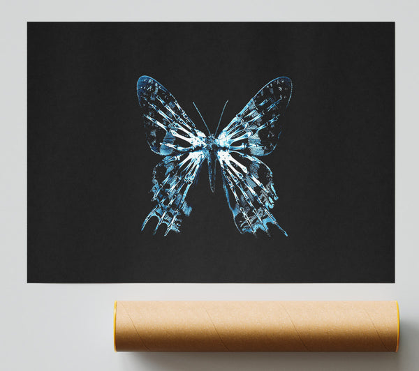 Butterfly X Ray