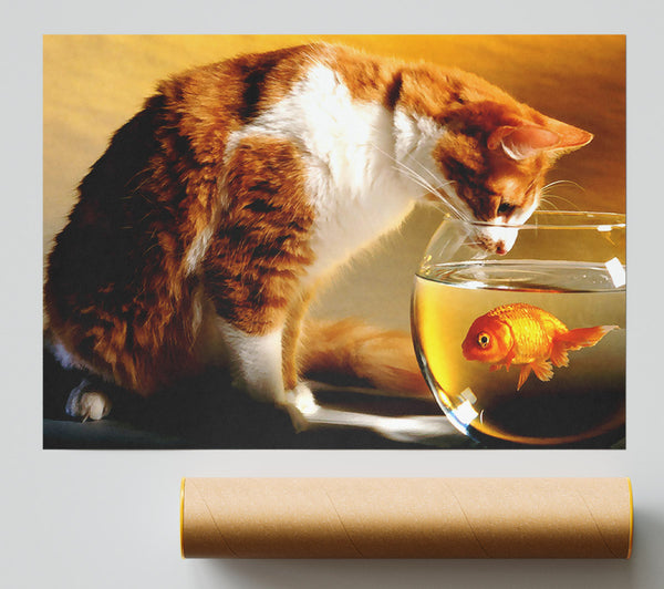 Cat And Fish