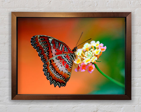 Colourful Butterfly Rests