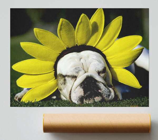 Dog Sunflower Hat