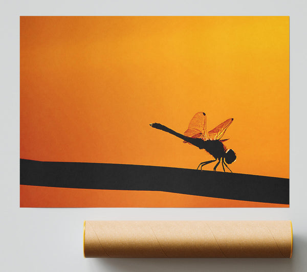 Dragonfly On A Stick