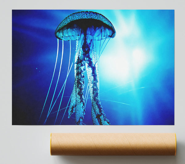 Electric Blue Jellyfish