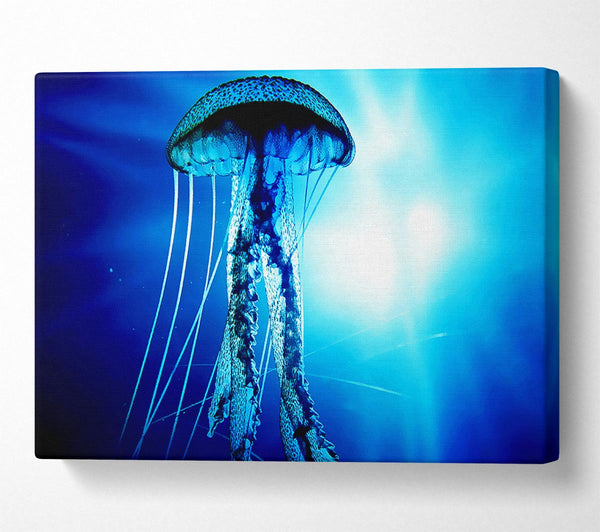 Electric Blue Jellyfish