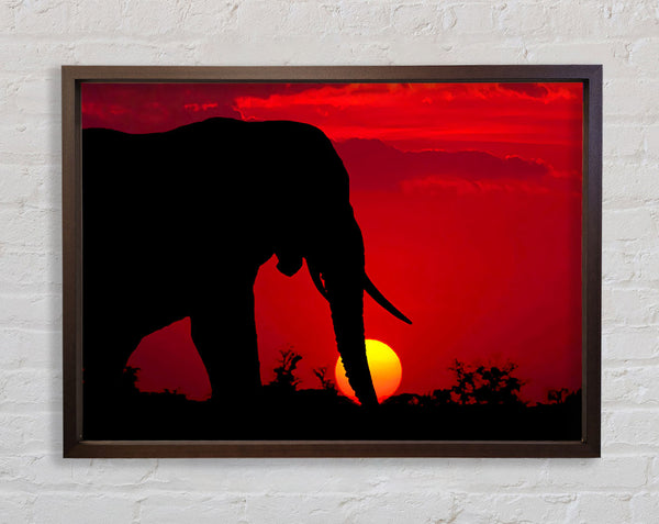 Elephant At Sundown