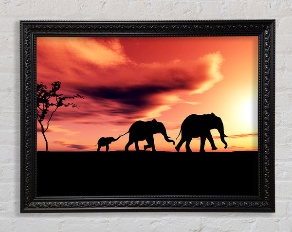 Elephant Family Sunset