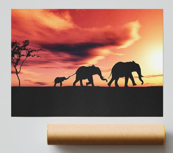 Elephant Family Sunset