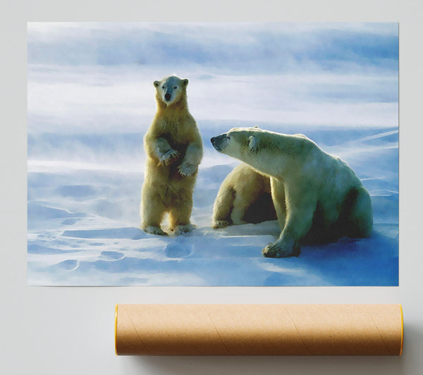 Family Of Polar Bears