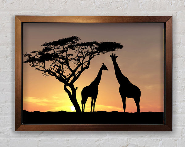 Giraffes At Sunset