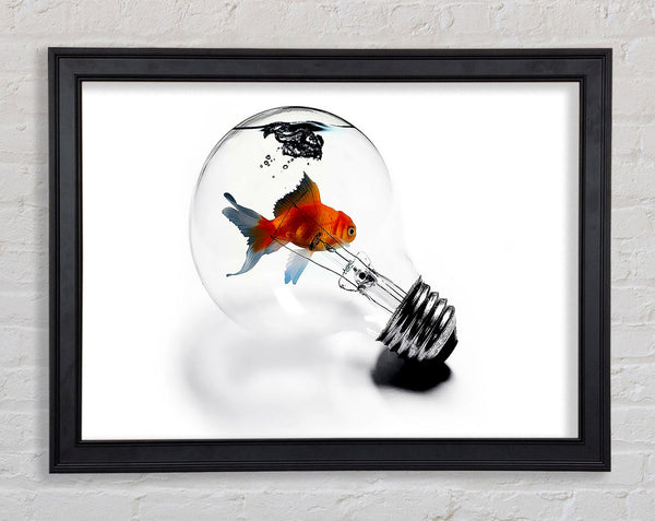 Goldfish Light Bulb