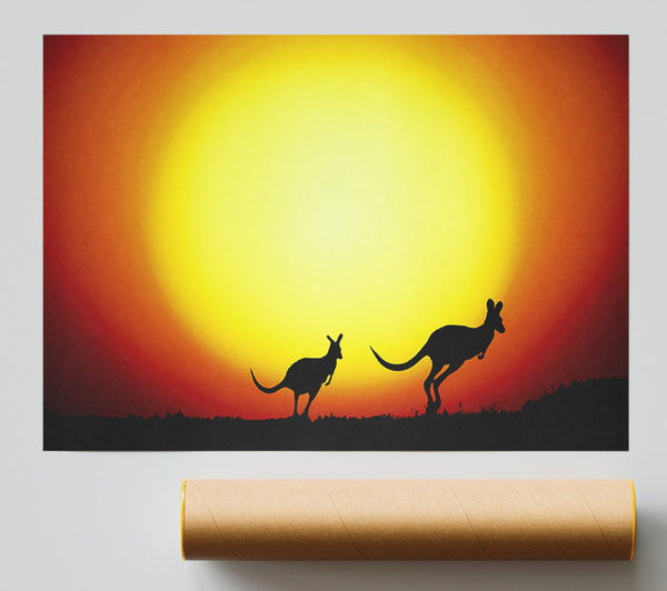 Kangaroos By Sunlight