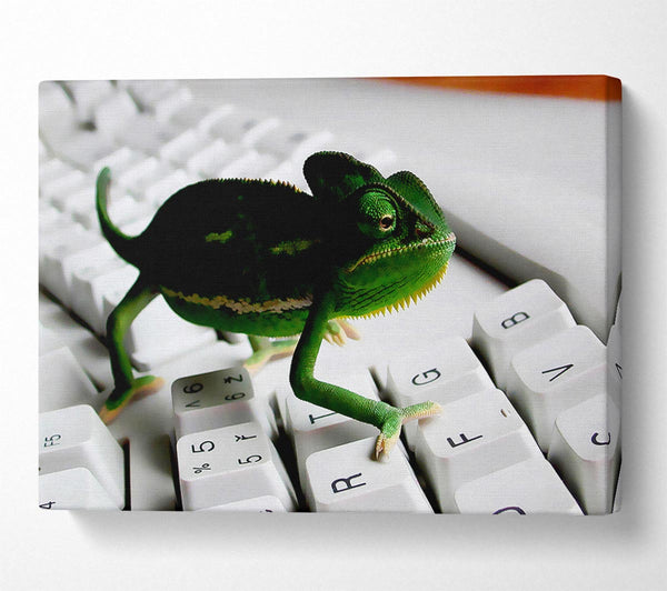 Lizard Keyboard