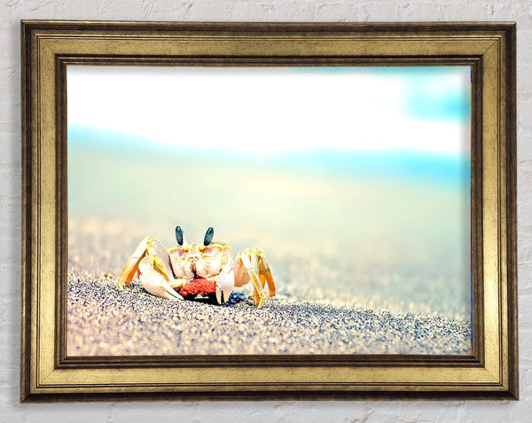 Lonely Crab