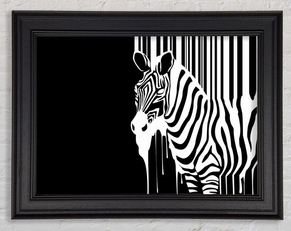 Melting Zebra