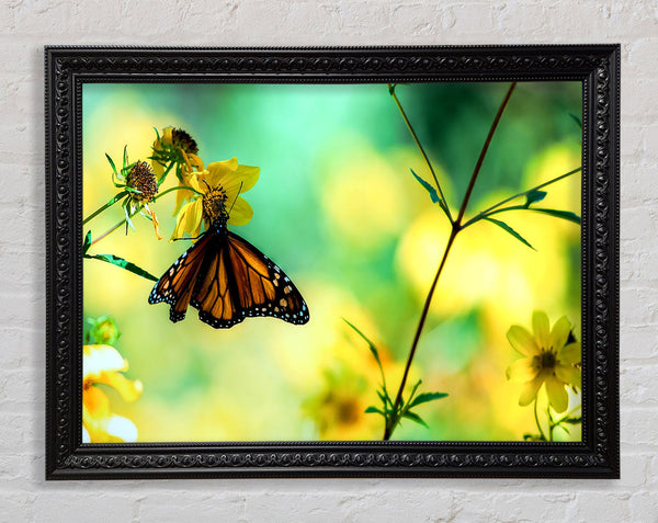 Monarch Butterfly On A Yellow Flower