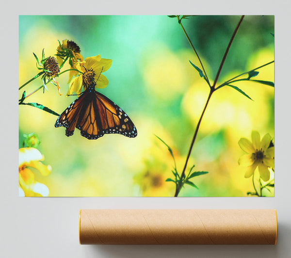 Monarch Butterfly On A Yellow Flower