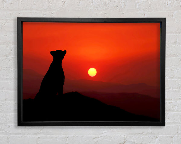 Panther Sunset