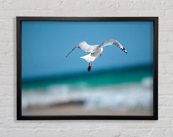 Seagull Over The Ocean