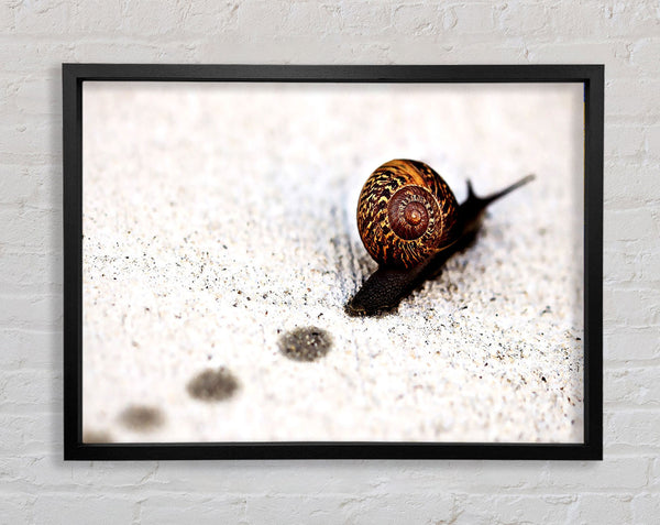 Snail Track Macro