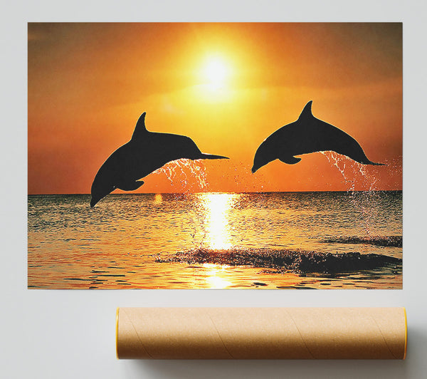 Sunset Dolphins