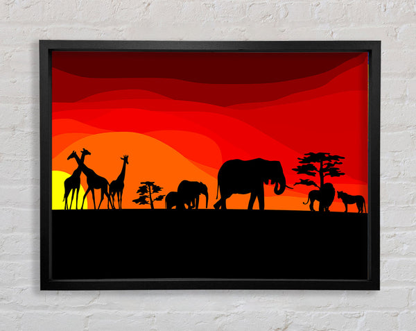 Sunset Safari