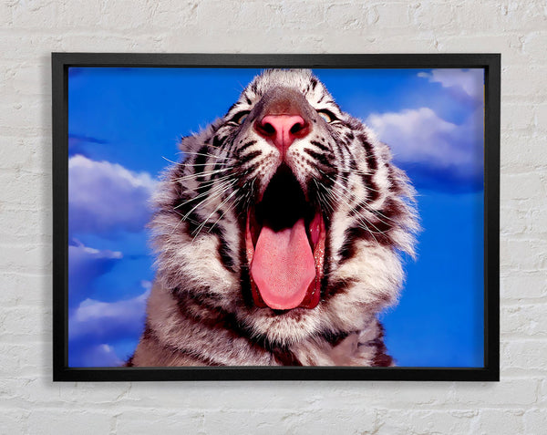 White Tiger Yawn