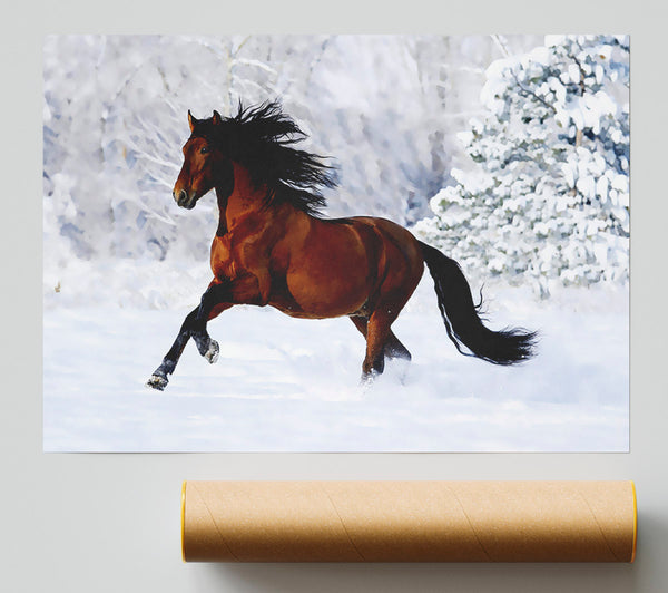 Wild Horse In The Snow