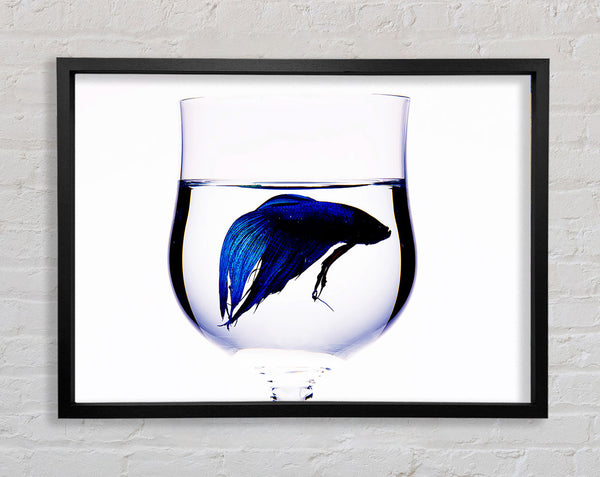 Wineglass Fish