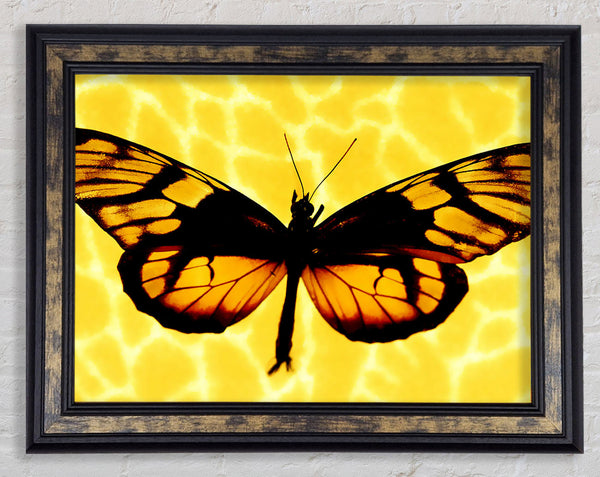 Yellow Butterfly Wings