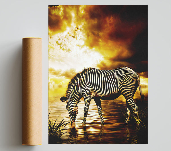 Zebra In The Golden River