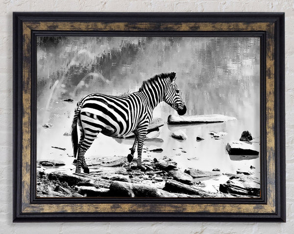 Zebras Watering Hole B n W