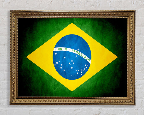 Brazillian Flag