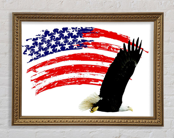 Eagle Freedom