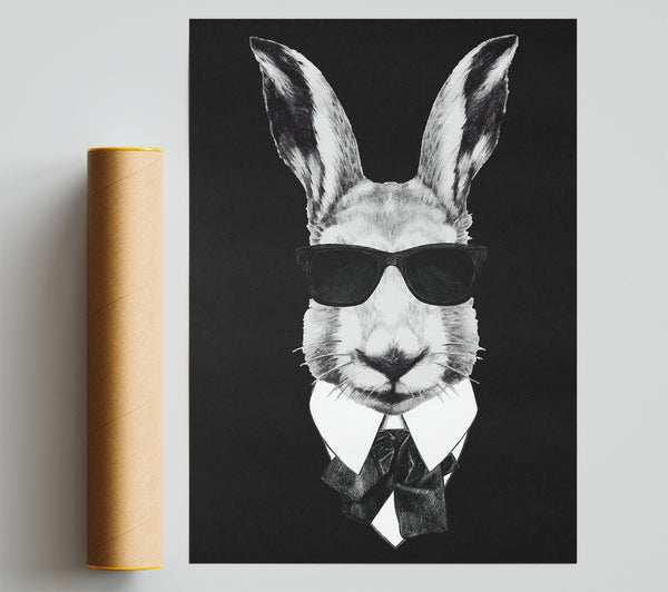 Mafia Rabbit