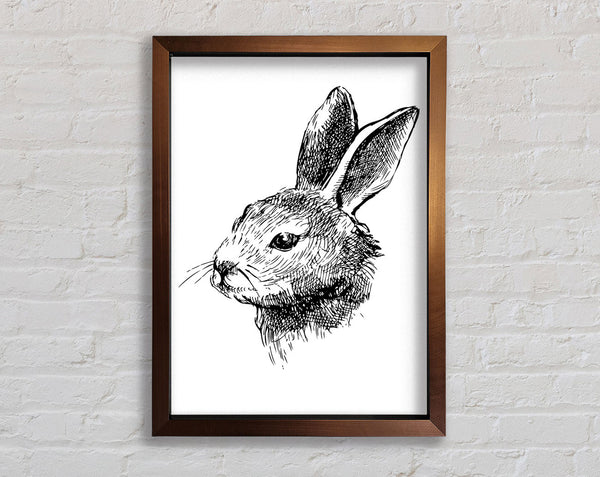 Bunny Portrait