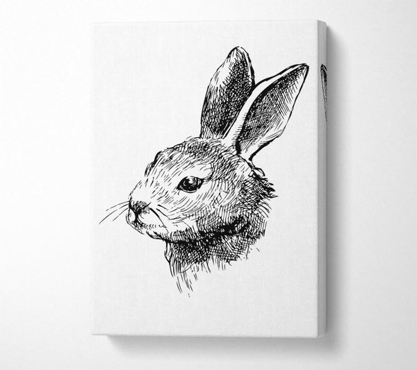 Bunny Portrait