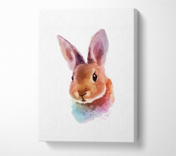 Rabbit Portrait