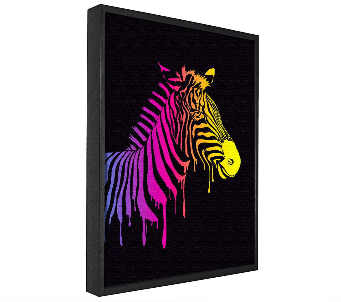 A picture of a Zebra Rainbow framed canvas print sold by Wallart-Direct.co.uk