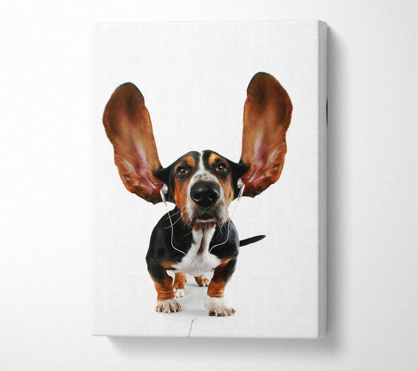 Basset Hound Music