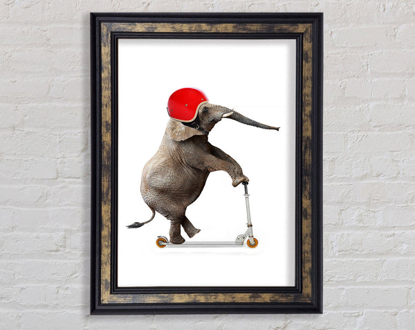 Elephant Scooter