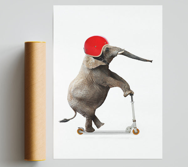 Elephant Scooter