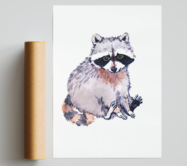 Raccoon Sitting