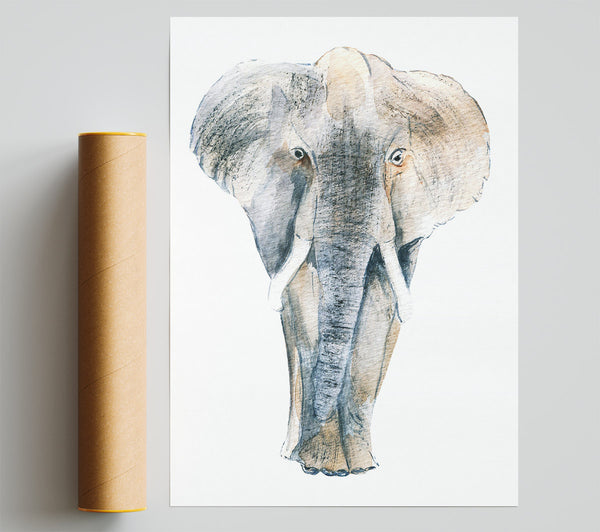 Elephant Drawing