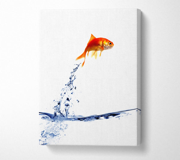 Jumping Goldfish