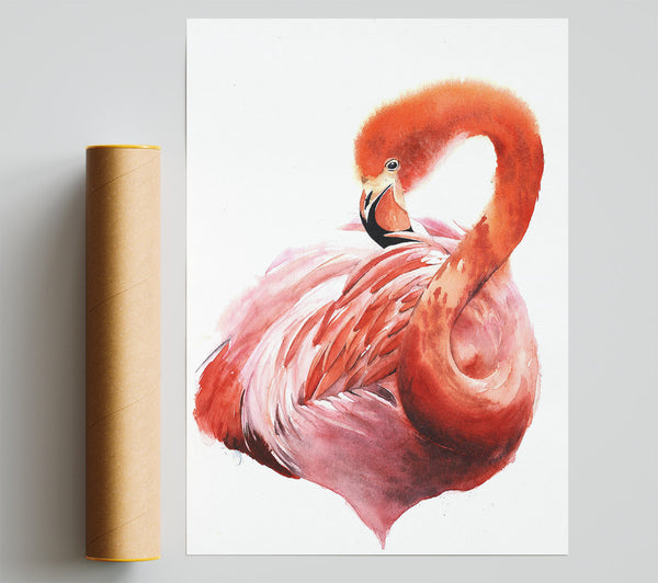 Flamingo Groom