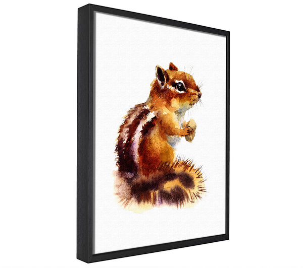 A picture of a Squirrel Nuts framed canvas print sold by Wallart-Direct.co.uk